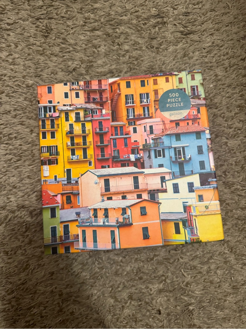 500 piece puzzle
